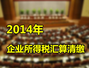 2013税审报告指南